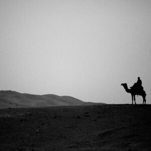 Desert