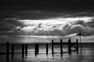 Breaking Light