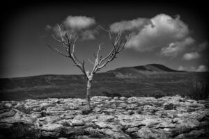 limestone pavement yorkshire