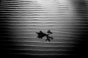 Ripples In Sand